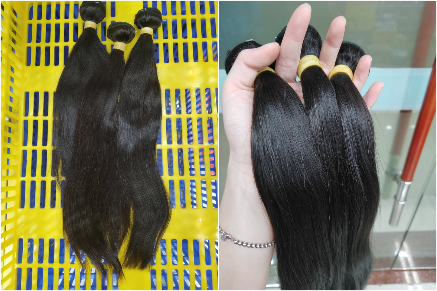 Cani Battle's order - GJ4