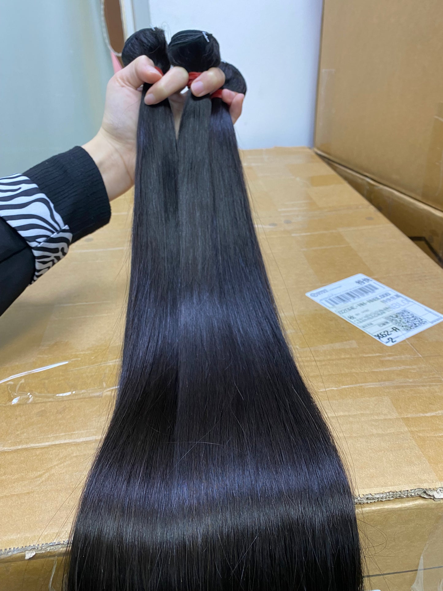 Cani Battle's order (1) - GJ4